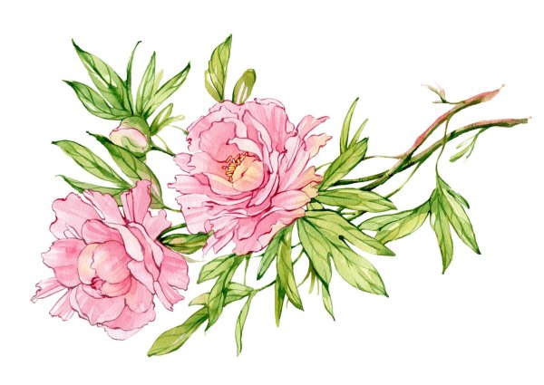 Графические цветы