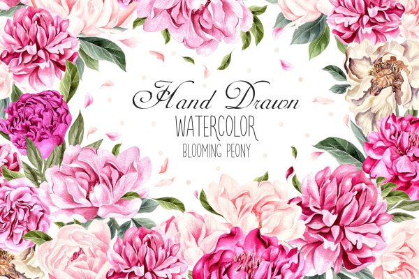 Акварельные цветы фон