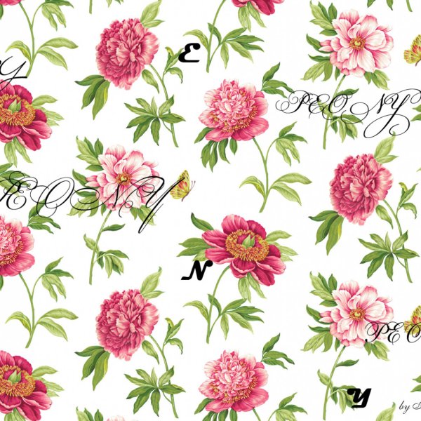 Пионы рисунок