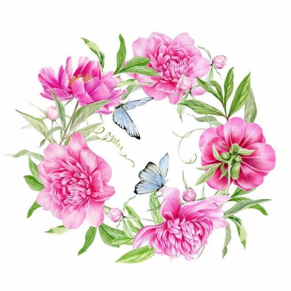 Акварельные пионы круг