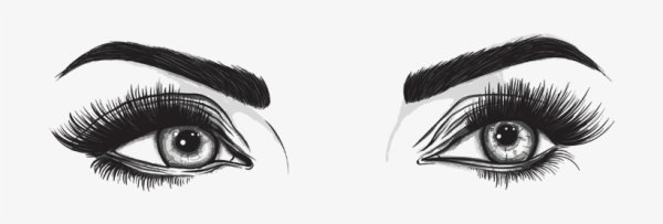 Брови иллюстрация на белом фоне