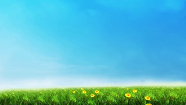 Фон Полянка