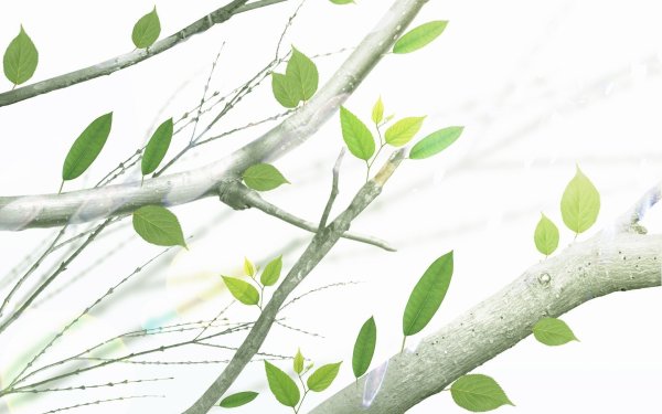 Фон с веточками