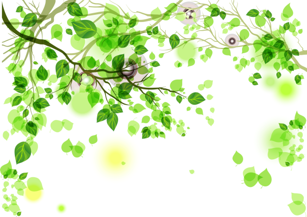 Зеленые ветки на прозрачном фоне