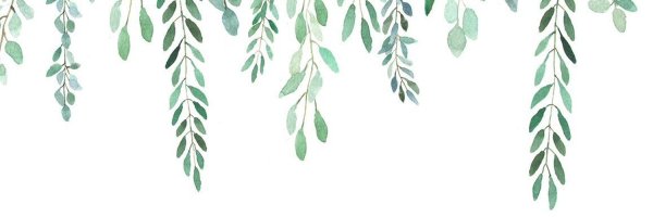 Акварельные листья на белом фоне