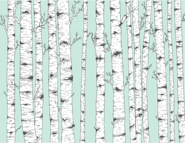 Паттерн береза
