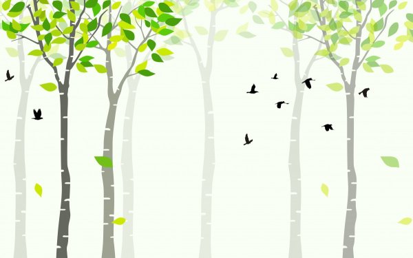 Фотообои березы