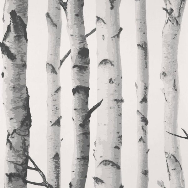 Березовый ствол