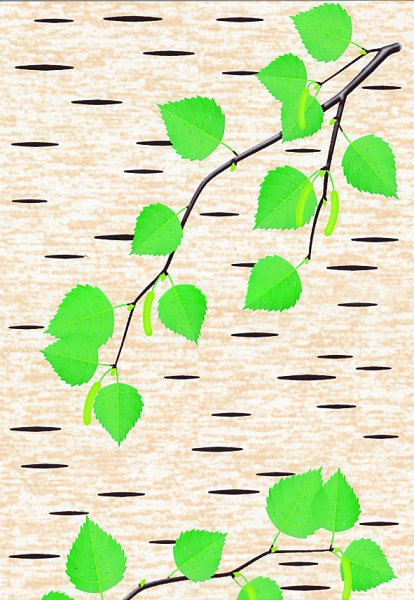 Узор березы