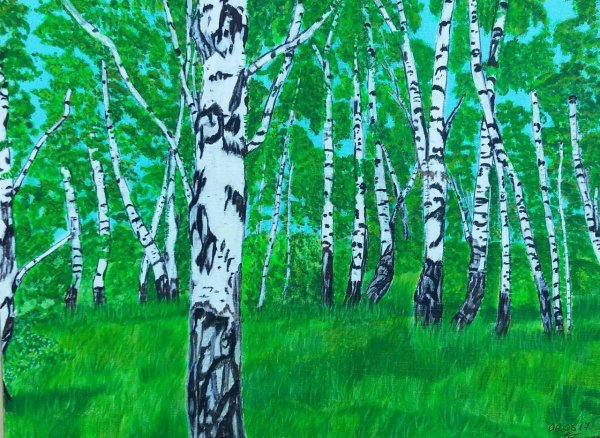 Берёзовая роща рисоватть