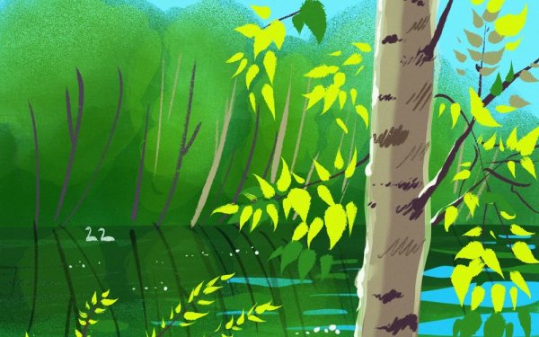 Береза рисунок