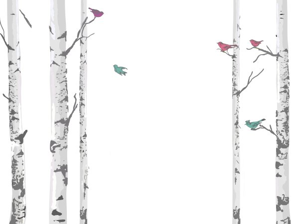 Береза на прозрачном фоне