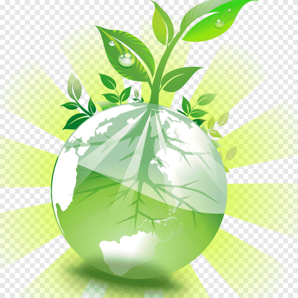 Экология без фона