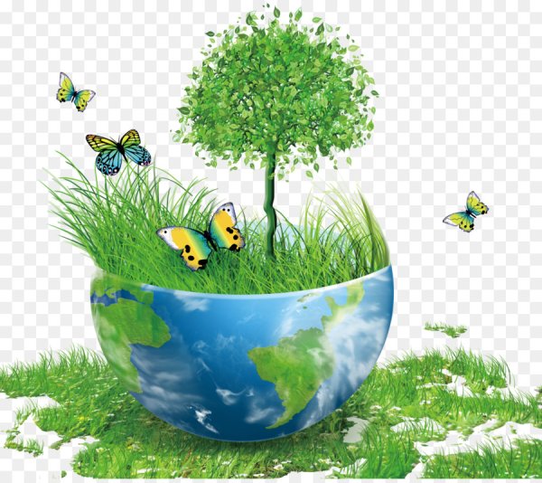 Детям об экологии