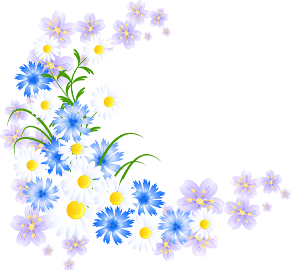 Летние цветочки вектор