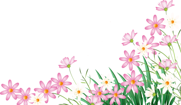 Цветы на прозрачном фоне