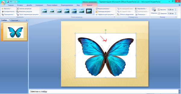 Сделать картинку фоном в презентации