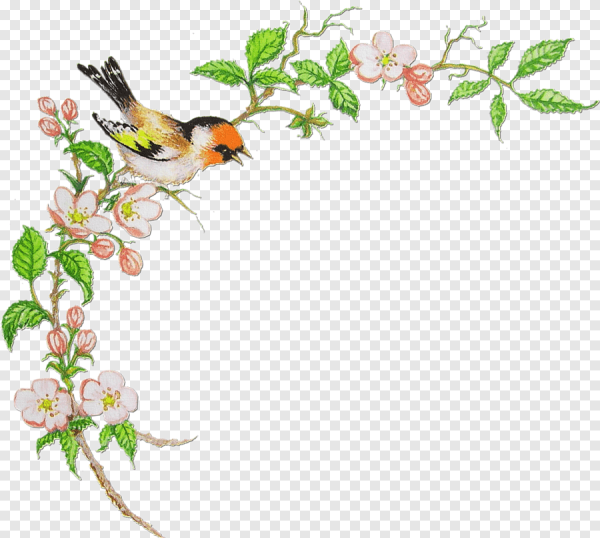 Рамка с птичками