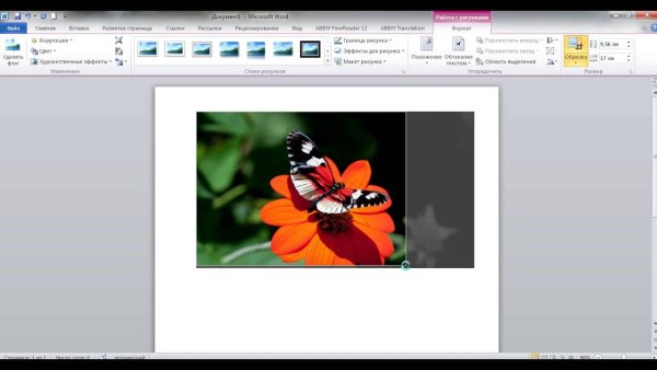Обрезка рисунка в Word 2007
