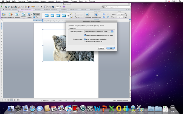 Как сделать картинку фоновым изображением