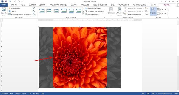 Изображения для вставки в ворд