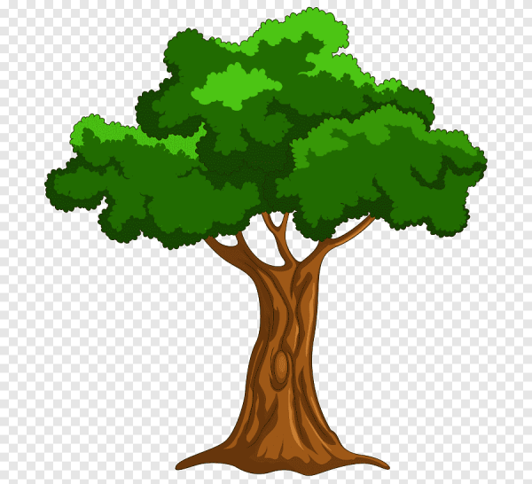 Сказочное дерево