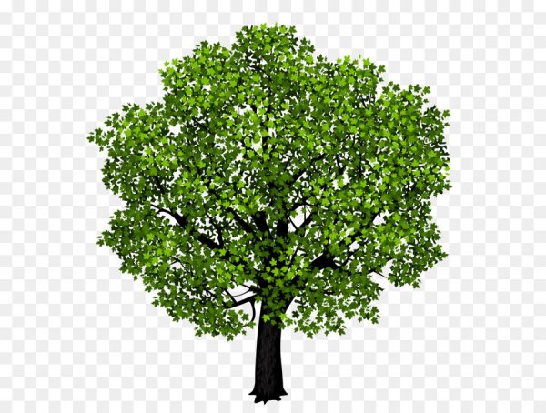 Векторное изображение дерева