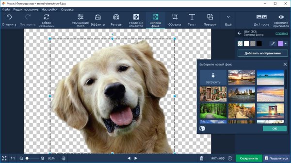 Фоны для редактора фотографий