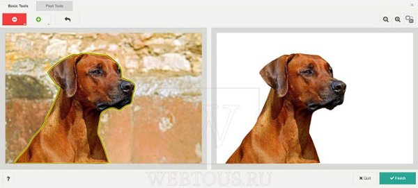 Удаление фона на фотографии пример