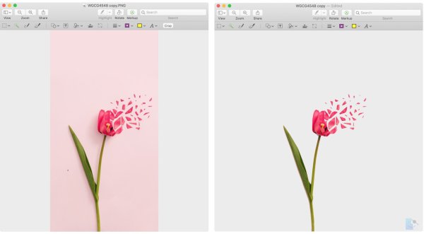 Удаление фона работы
