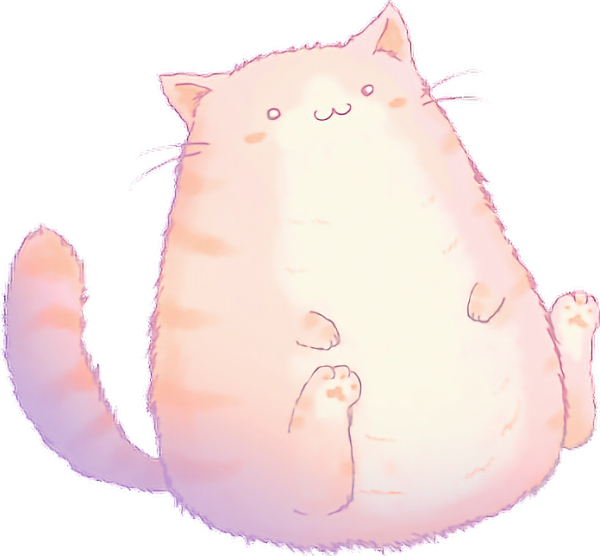 Милый котик на прозрачном фоне