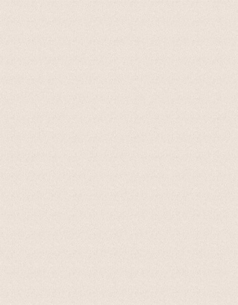 Loymina Satori 2 st0302