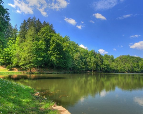 Летняя природа