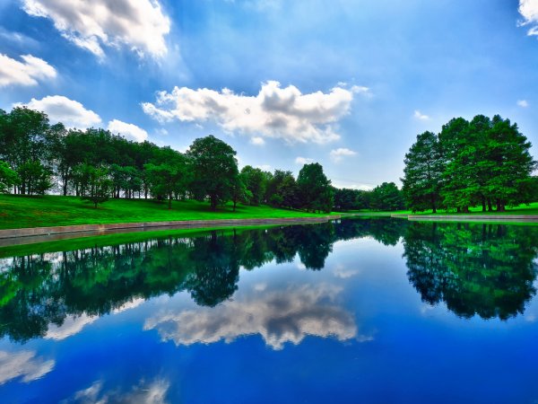 Летний пейзаж