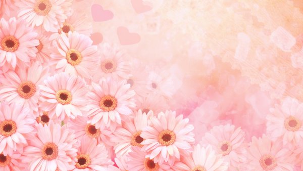 Фон цветочный нежный