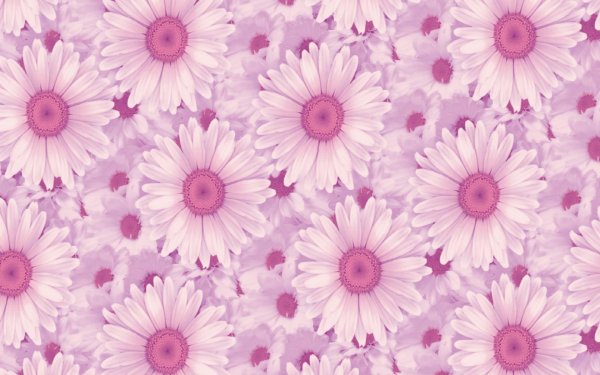 Фон цветочки