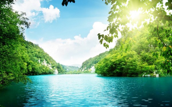 Лето природа