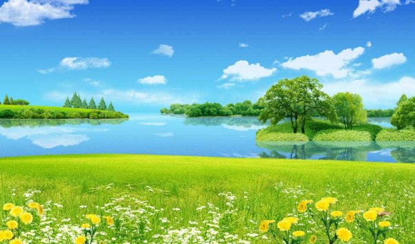 Фотообои на рабочий стол лето