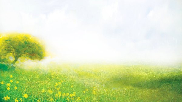 Летний фон для презентации