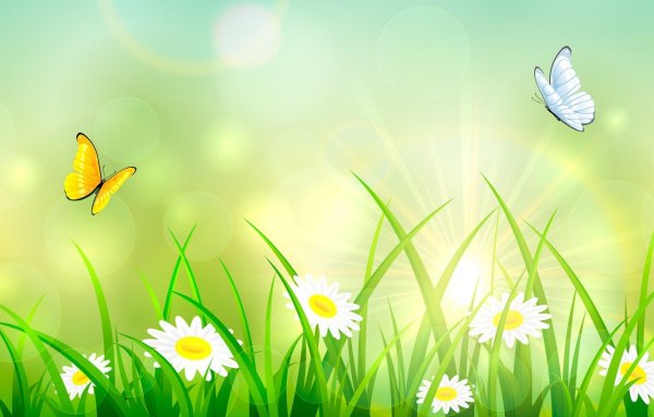 Поляна с цветами и бабочками