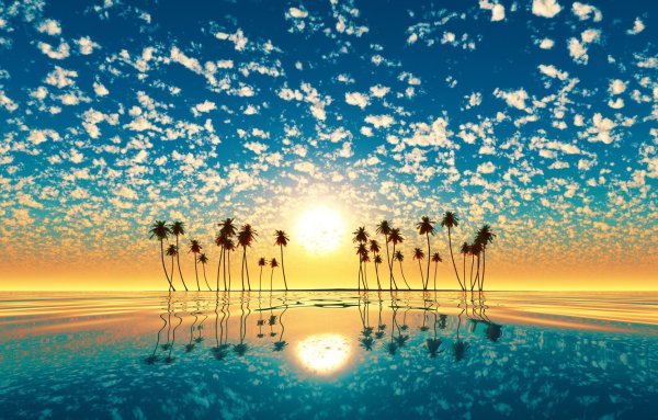 Лето солнце