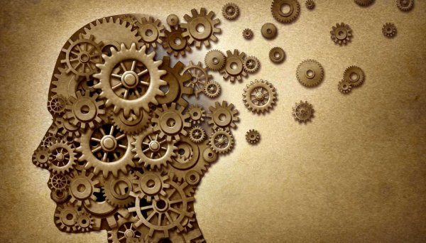 Шестеренки в голове