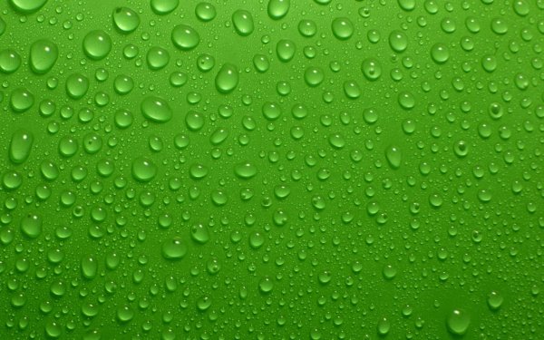 Зеленые обои