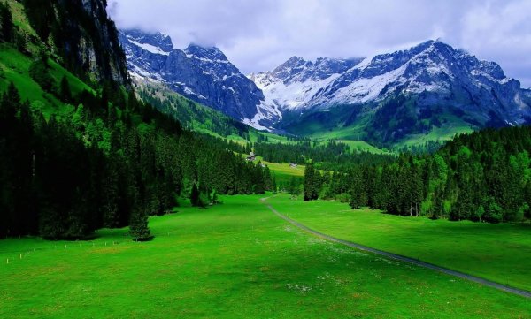 Альпы Швейцария зелень