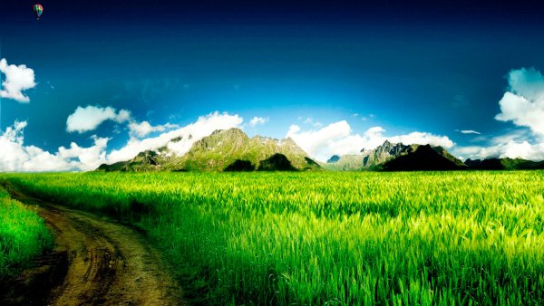 Тема природа