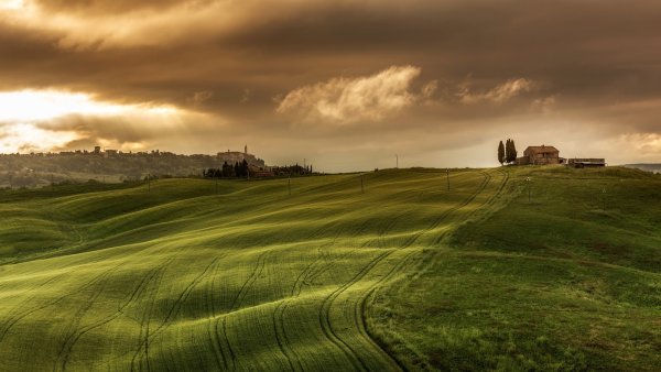 Обои на рабочий стол 4к Ultra HD природа солнечно