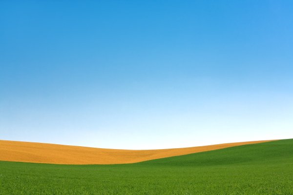 Поле мультяшное