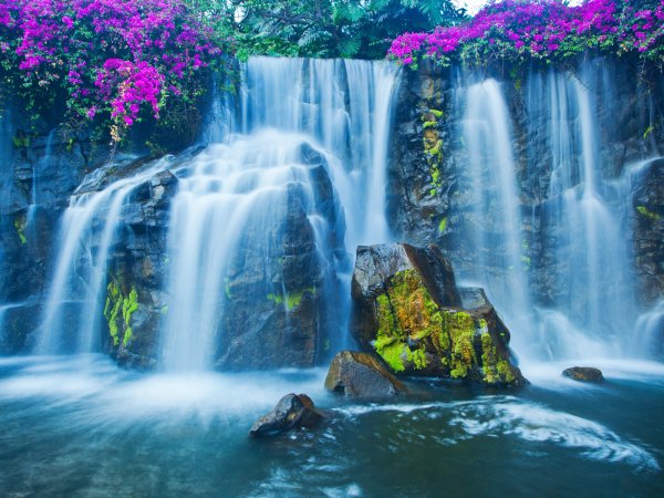 Живая природа водопады