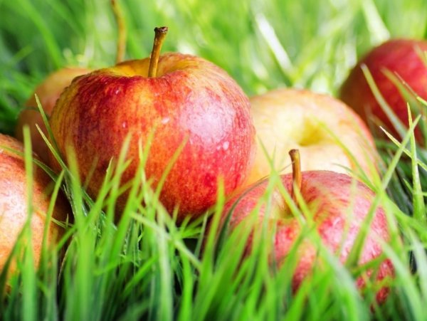 Красивое яблоко