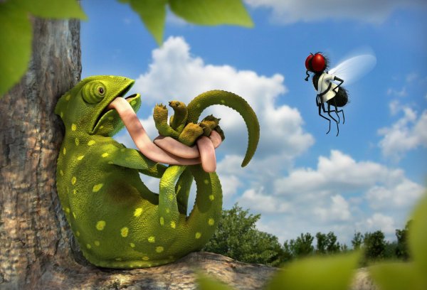 Обои на рабочий стол прикольные